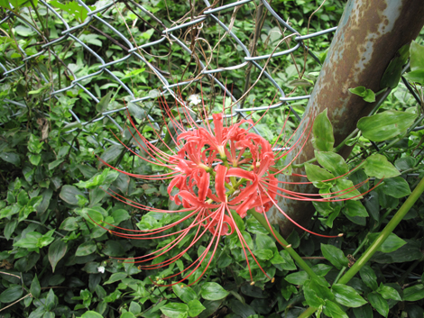 20150924hike (175)